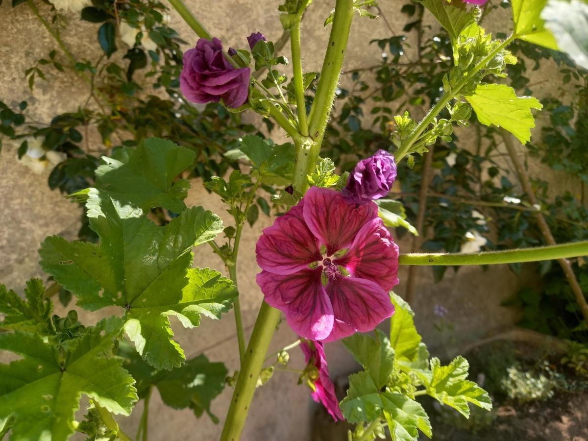 Maison Violette En Berry Aigurande Exteriör bild
